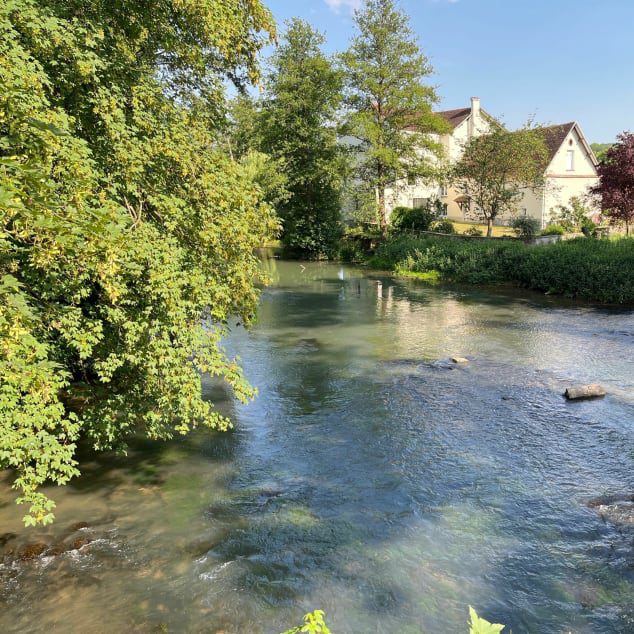 Campagne seine et marne